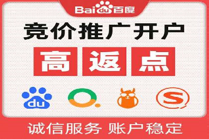 竞价排名成功案例分享